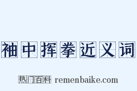 袖中挥拳近义词是什么意思的图片